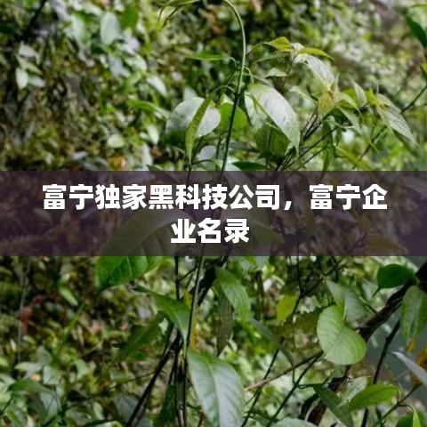 富寧獨(dú)家黑科技公司，富寧企業(yè)名錄 