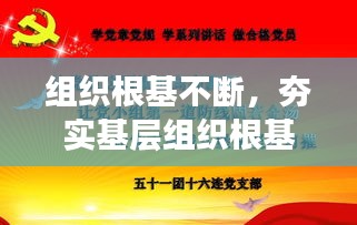 組織根基不斷，夯實基層組織根基 