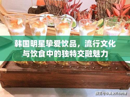 韓國明星摯愛飲品，流行文化與飲食中的獨特交融魅力