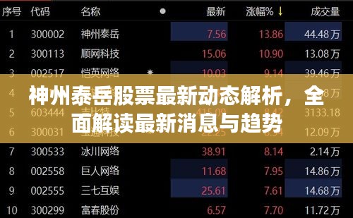 神州泰岳股票最新動態(tài)解析，全面解讀最新消息與趨勢