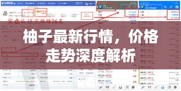 柚子最新行情，價(jià)格走勢(shì)深度解析