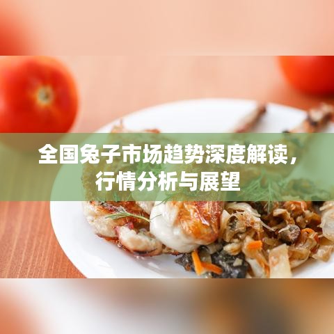 全國兔子市場趨勢深度解讀，行情分析與展望