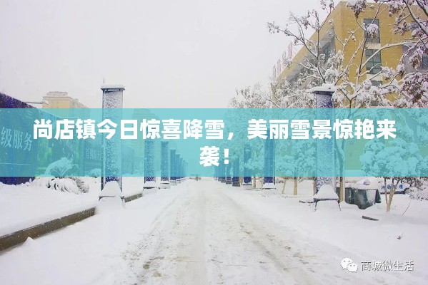 尚店鎮(zhèn)今日驚喜降雪，美麗雪景驚艷來襲！