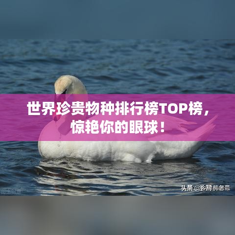 世界珍貴物種排行榜TOP榜，驚艷你的眼球！