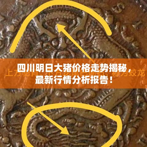 四川明日大豬價格走勢揭秘，最新行情分析報(bào)告！