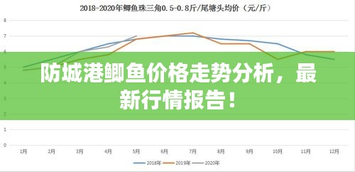 防城港鯽魚價(jià)格走勢(shì)分析，最新行情報(bào)告！