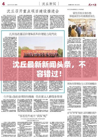 沈丘最新新聞頭條，不容錯過！