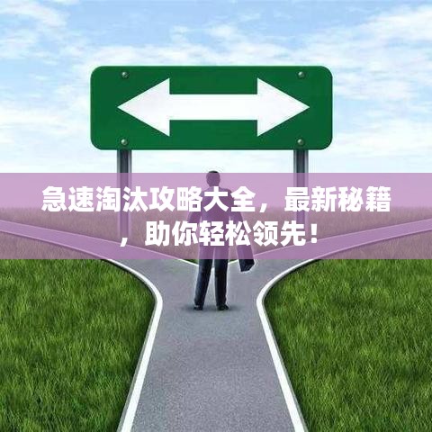 急速淘汰攻略大全，最新秘籍，助你輕松領先！