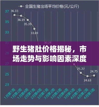 野生豬肚價格揭秘，市場走勢與影響因素深度解析