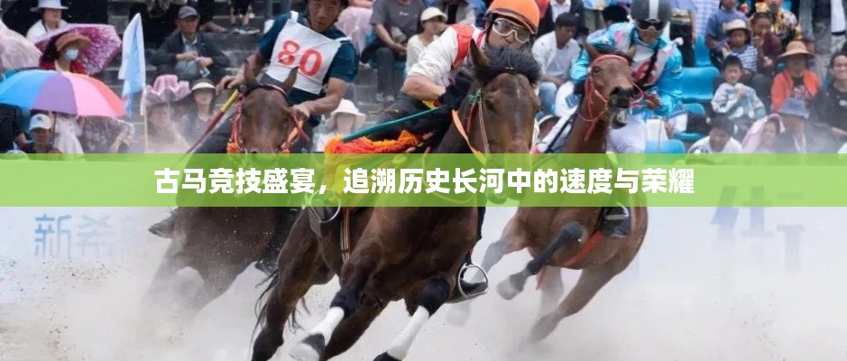 古馬競技盛宴，追溯歷史長河中的速度與榮耀