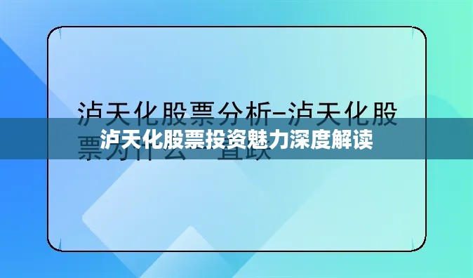 瀘天化股票投資魅力深度解讀