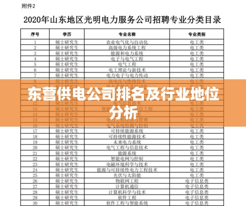 東營供電公司排名及行業(yè)地位分析