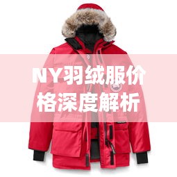 NY羽絨服價格深度解析，了解真實價格，選購更明智！