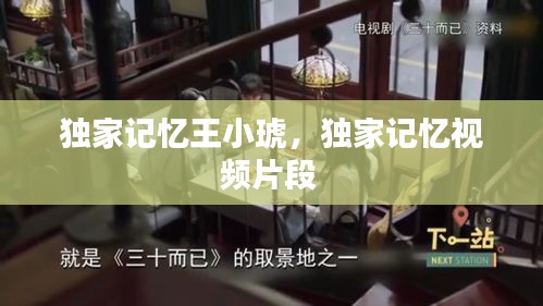 獨家記憶王小琥，獨家記憶視頻片段 