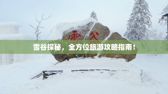 雪谷探秘，全方位旅游攻略指南！