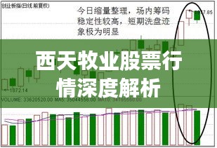 聯(lián)系我們 第38頁