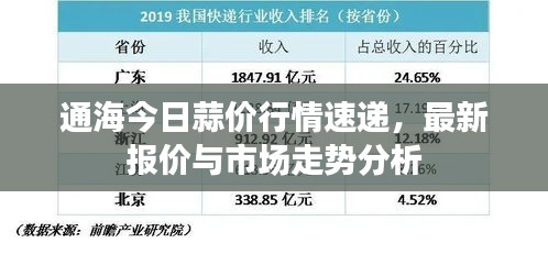 通海今日蒜價行情速遞，最新報價與市場走勢分析