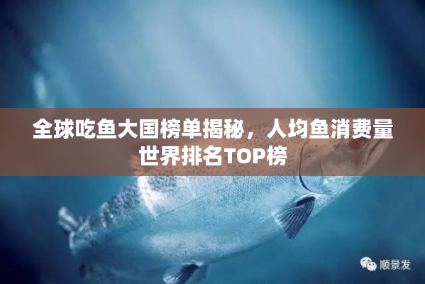 全球吃魚大國榜單揭秘，人均魚消費(fèi)量世界排名TOP榜