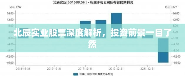 北辰實業(yè)股票深度解析，投資前景一目了然