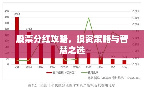 股票分紅攻略，投資策略與智慧之選