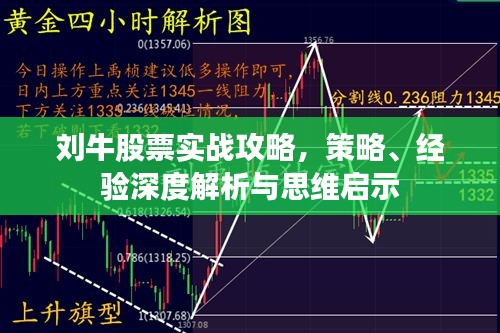 劉牛股票實戰(zhàn)攻略，策略、經(jīng)驗深度解析與思維啟示