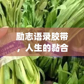 勵志語錄膠帶，人生的黏合劑，引領你走向成功之路