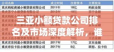 三亞小額貸款公司排名及市場深度解析，誰是行業(yè)佼佼者？