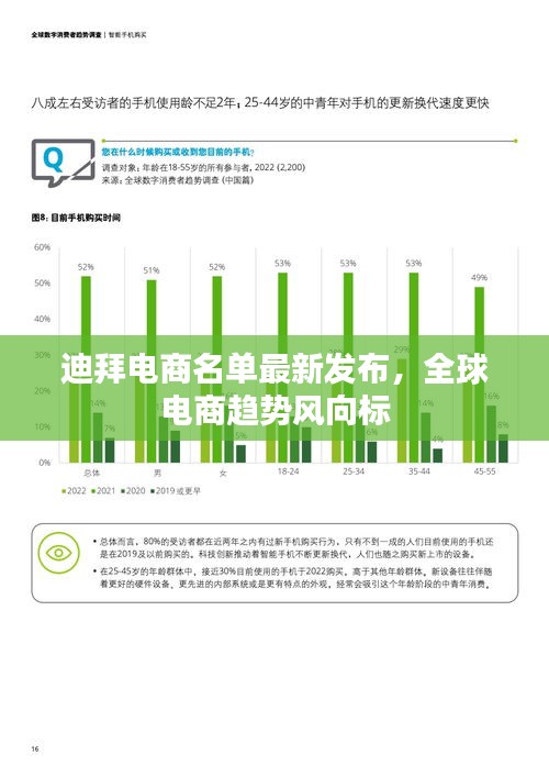 迪拜電商名單最新發(fā)布，全球電商趨勢風(fēng)向標(biāo)