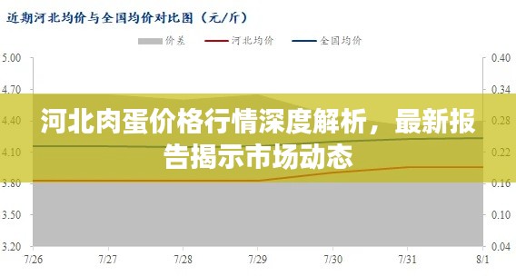 河北肉蛋價(jià)格行情深度解析，最新報(bào)告揭示市場(chǎng)動(dòng)態(tài)