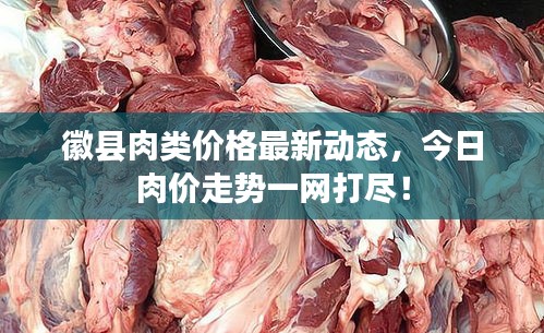 徽縣肉類價格最新動態(tài)，今日肉價走勢一網(wǎng)打盡！