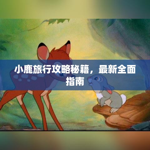 小鹿旅行攻略秘籍，最新全面指南