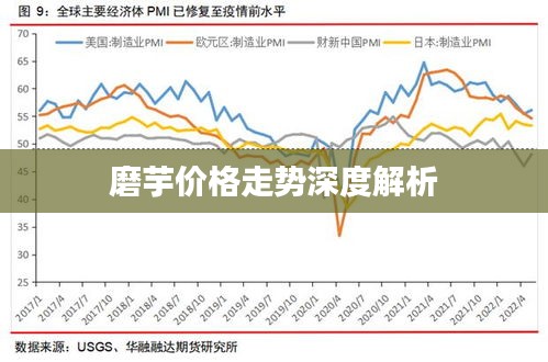 磨芋價格走勢深度解析