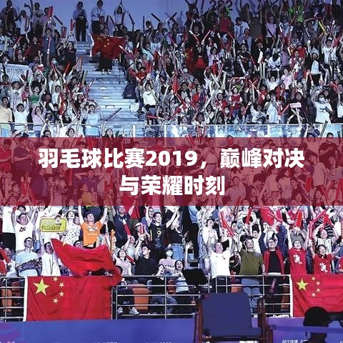 羽毛球比賽2019，巔峰對(duì)決與榮耀時(shí)刻