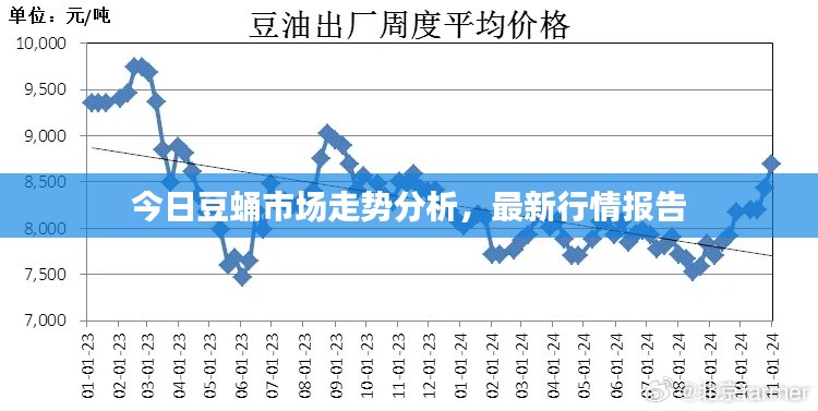 今日豆蛹市場走勢分析，最新行情報告