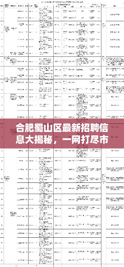 合肥蜀山區(qū)最新招聘信息大揭秘，一網(wǎng)打盡市區(qū)各大企業(yè)職位空缺