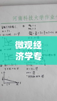 微觀經(jīng)濟學專題論述題型，微觀經(jīng)濟學期末考試論述題 