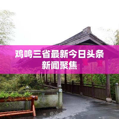 雞鳴三省最新今日頭條新聞聚焦