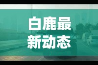 白鹿最新動(dòng)態(tài)消息曝光，不容錯(cuò)過！