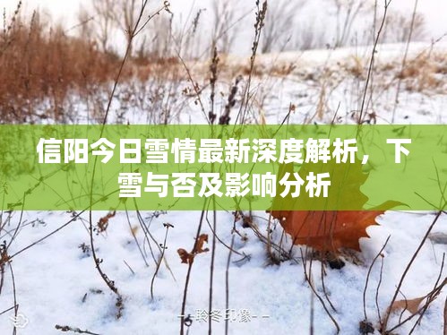 信陽(yáng)今日雪情最新深度解析，下雪與否及影響分析