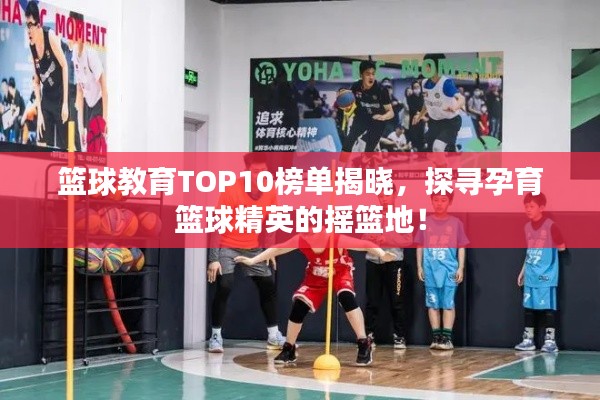 籃球教育TOP10榜單揭曉，探尋孕育籃球精英的搖籃地！