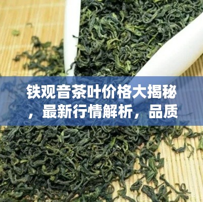 鐵觀音茶葉價(jià)格大揭秘，最新行情解析，品質(zhì)與價(jià)格雙重保障！