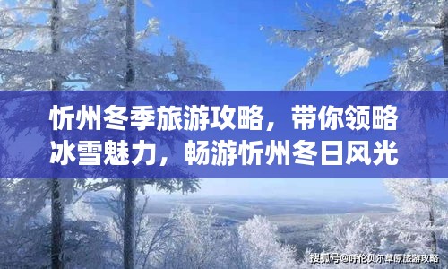 忻州冬季旅游攻略，帶你領(lǐng)略冰雪魅力，暢游忻州冬日風(fēng)光！