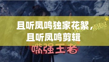 且聽鳳鳴獨家花絮，且聽鳳鳴剪輯 