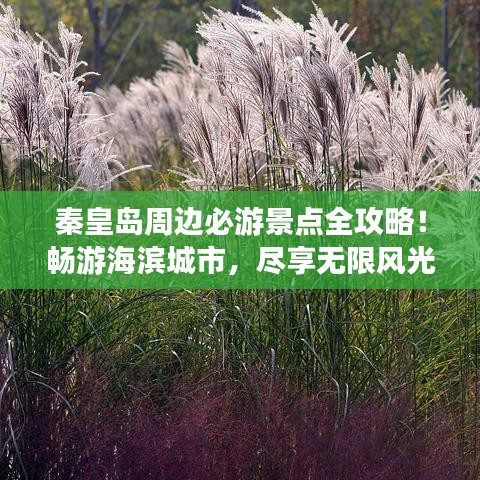 秦皇島周邊必游景點全攻略！暢游海濱城市，盡享無限風光