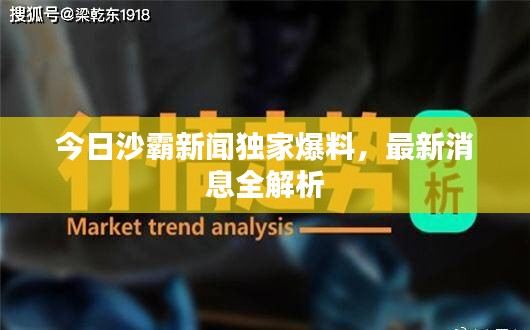 今日沙霸新聞獨(dú)家爆料，最新消息全解析