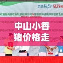 中山小香豬價(jià)格走勢(shì)大揭秘，最新行情分析！