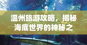 溫州旅游攻略，揭秘海底世界的神秘之旅