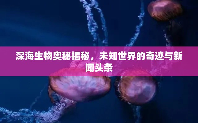 深海生物奧秘揭秘，未知世界的奇跡與新聞頭條