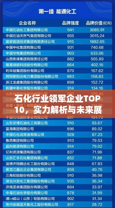 石化行業(yè)領(lǐng)軍企業(yè)TOP10，實力解析與未來展望