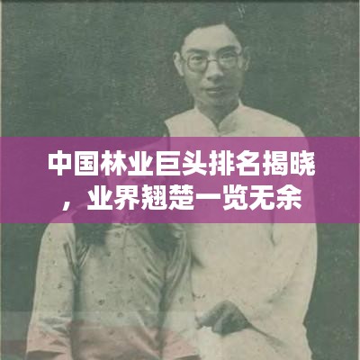 中國林業(yè)巨頭排名揭曉，業(yè)界翹楚一覽無余